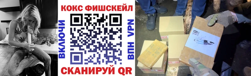 купить наркотики сайты  Пучеж  Cocaine Fish Scale 