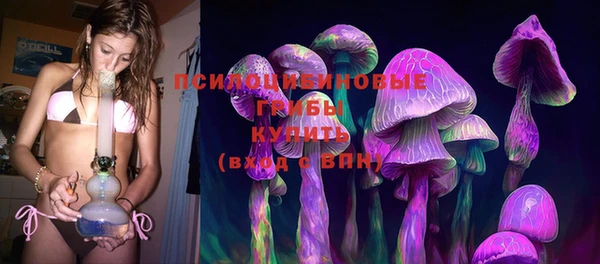 спиды Алзамай